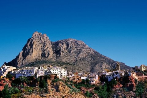 Bungalow for sale Benidorm, Alicante, Spain 2 bedrooms, 74 sq.m. No. 134009 - photo 14