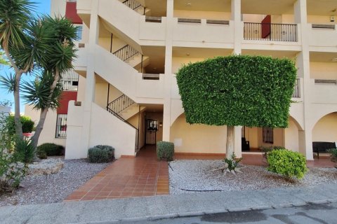 Appartamento in vendita Playa Flamenca II, Alicante, Spagna 2 camere da letto,  N° 133097 - foto 18