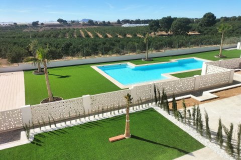 Huvila myytävänä Pilar de la Horadada, Alicante, Espanja, 3 makuuhuonetta, 205 m2 No. 110425 - kuva 14