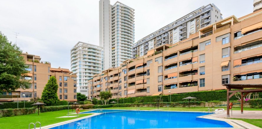 Apartment Valencia, Spain 204 sq.m. No. 133351