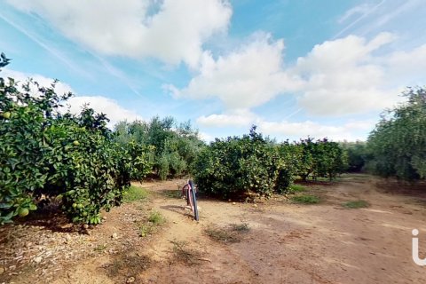 Продажа коммерческой недвижимости в Камбрильс, Таррагона, Испания №153675 - фото 10