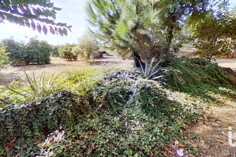 Продажа коммерческой недвижимости в Камбрильс, Таррагона, Испания №153675 - фото 6