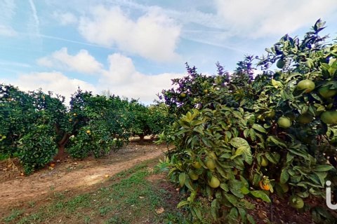 Продажа коммерческой недвижимости в Камбрильс, Таррагона, Испания №153675 - фото 12