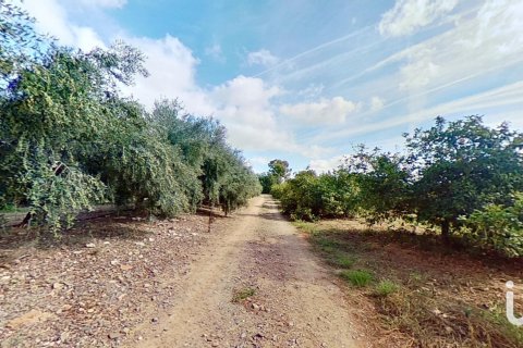 Продажа коммерческой недвижимости в Камбрильс, Таррагона, Испания №153675 - фото 8