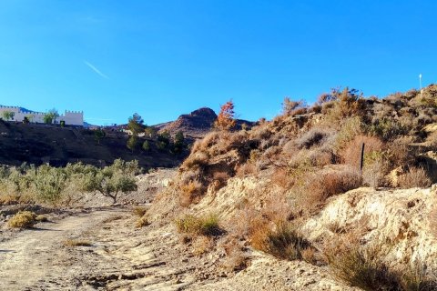 Продажа дома в Табернас, Альмерия, Испания 4 спальни, 150м2 №153677 - фото 6