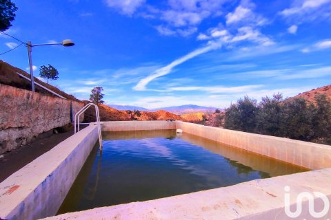 Продажа дома в Табернас, Альмерия, Испания 4 спальни, 150м2 №153677 - фото 25