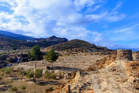 Продажа дома в Табернас, Альмерия, Испания 4 спальни, 150м2 №153677 - фото 30