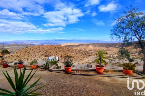 Продажа дома в Табернас, Альмерия, Испания 4 спальни, 150м2 №153677 - фото 9