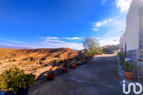 Продажа дома в Табернас, Альмерия, Испания 4 спальни, 150м2 №153677 - фото 8