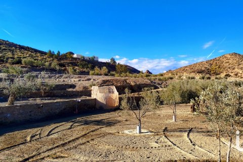 Продажа дома в Табернас, Альмерия, Испания 4 спальни, 150м2 №153677 - фото 5