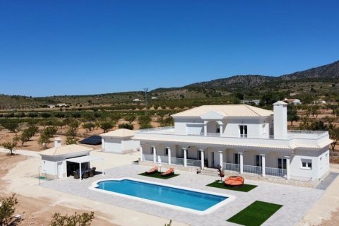 Villa à vendre Pinoso, Alicante, Espagne, 6 chambres, 270 m2 No. 135400 - photo 1