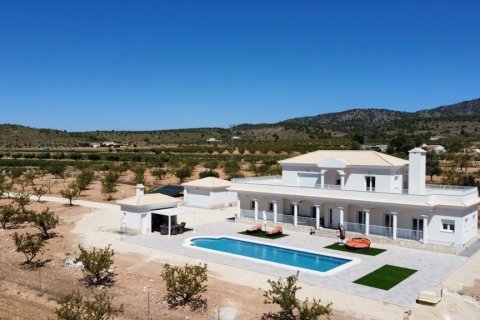 Villa à vendre Pinoso, Alicante, Espagne, 6 chambres, 270 m2 No. 135400 - photo 21