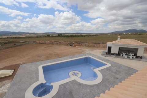 Villa à vendre Pinoso, Alicante, Espagne, 4 chambres, 180 m2 No. 135403 - photo 14