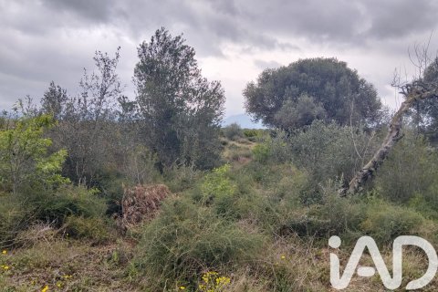 Land plot à vendre à Tivenys, Tarragona, Espagne, 2488 m2 No. 185392 - photo 6