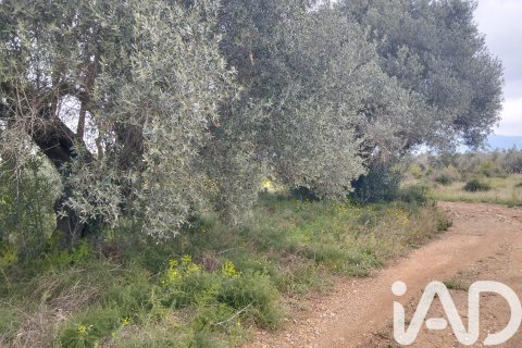 Land plot à vendre à Tivenys, Tarragona, Espagne, 2488 m2 No. 185392 - photo 2