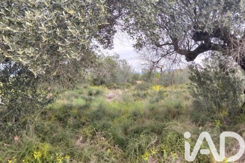 Land plot à vendre à Tivenys, Tarragona, Espagne, 2488 m2 No. 185392 - photo 3