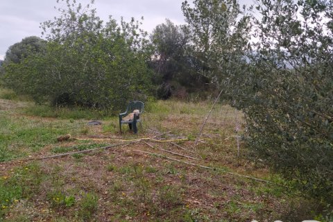Land plot à vendre à Tivenys, Tarragona, Espagne, 2488 m2 No. 185392 - photo 9