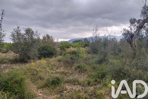Land plot à vendre à Tivenys, Tarragona, Espagne, 2488 m2 No. 185392 - photo 4