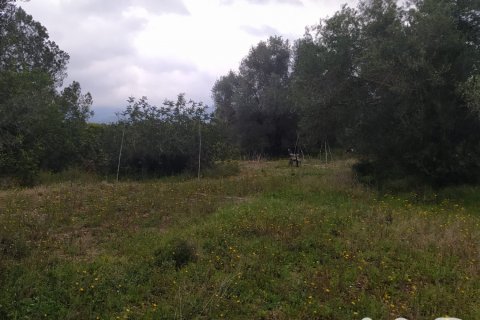 Land plot à vendre à Tivenys, Tarragona, Espagne, 2488 m2 No. 185392 - photo 8