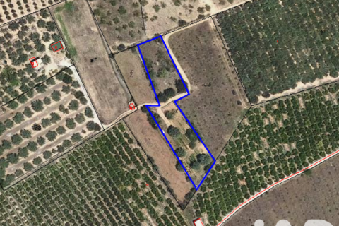 Land plot à vendre à Tivenys, Tarragona, Espagne, 2488 m2 No. 185392 - photo 12