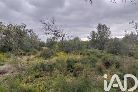 Terreno a Tivenys, Tarragona, Spagna 2488 mq. N° 185392
