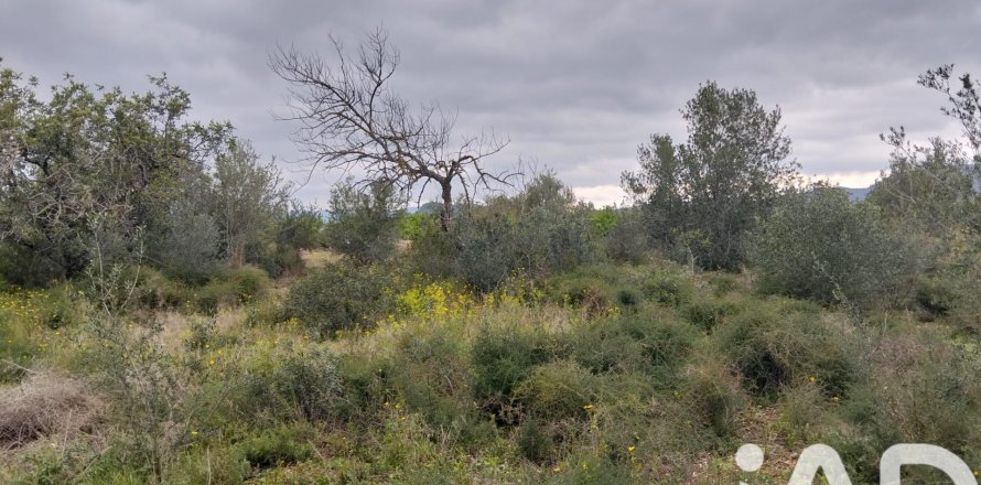 Land plot à Tivenys, Tarragona, Espagne 2488 m2 No. 185392