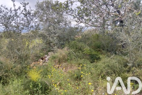 Land plot à vendre à Tivenys, Tarragona, Espagne, 2488 m2 No. 185392 - photo 5