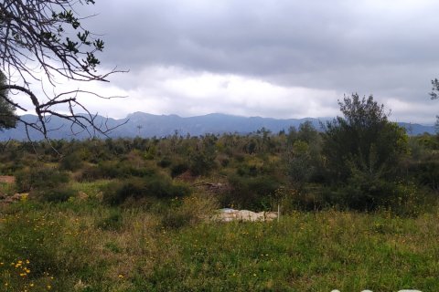 Land plot à vendre à Tivenys, Tarragona, Espagne, 2488 m2 No. 185392 - photo 11