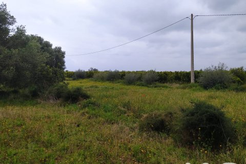 Land plot à vendre à Tivenys, Tarragona, Espagne, 2488 m2 No. 185392 - photo 7