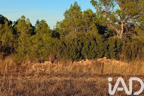 Land plot for sale in Lorca, Murcia, Spain 170000 sq.m. No. 185386 - photo 10