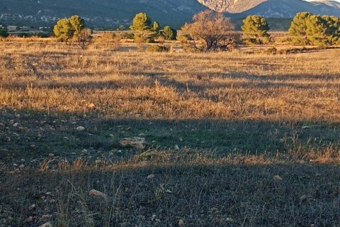 Land plot for sale in Lorca, Murcia, Spain 170000 sq.m. No. 185386 - photo 26