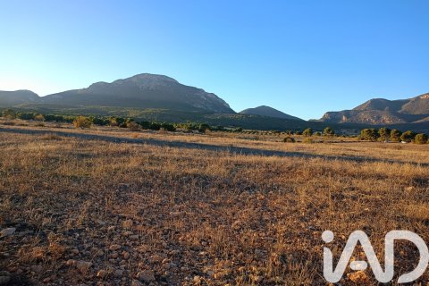 Land plot for sale in Lorca, Murcia, Spain 170000 sq.m. No. 185386 - photo 23