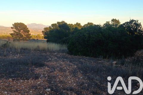 Land plot for sale in Lorca, Murcia, Spain 170000 sq.m. No. 185386 - photo 3