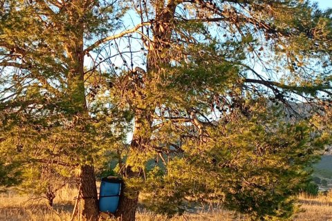 Land plot for sale in Lorca, Murcia, Spain 170000 sq.m. No. 185386 - photo 30