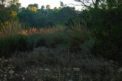 Land plot for sale in Lorca, Murcia, Spain 170000 sq.m. No. 185386 - photo 5