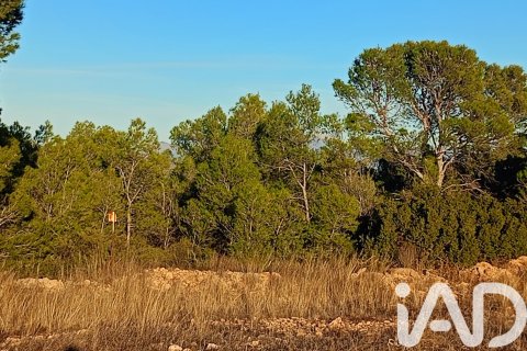 Land plot for sale in Lorca, Murcia, Spain 170000 sq.m. No. 185386 - photo 12