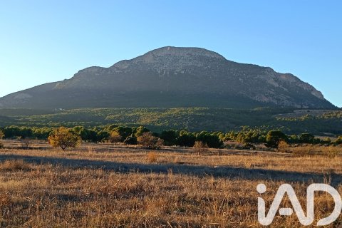 Land plot for sale in Lorca, Murcia, Spain 170000 sq.m. No. 185386 - photo 27