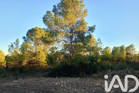 Land plot for sale in Lorca, Murcia, Spain 170000 sq.m. No. 185386 - photo 19