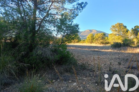 Land plot for sale in Lorca, Murcia, Spain 170000 sq.m. No. 185386 - photo 18