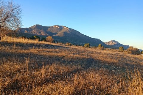 Land plot for sale in Lorca, Murcia, Spain 170000 sq.m. No. 185386 - photo 29