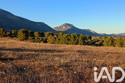 Land plot for sale in Lorca, Murcia, Spain 170000 sq.m. No. 185386 - photo 22