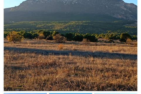 Działka w Lorca, Murcia, Hiszpania 170000 mkw. nr 185386