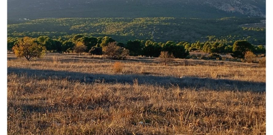Land plot in Lorca, Murcia, Spain 170000 sq.m. No. 185386