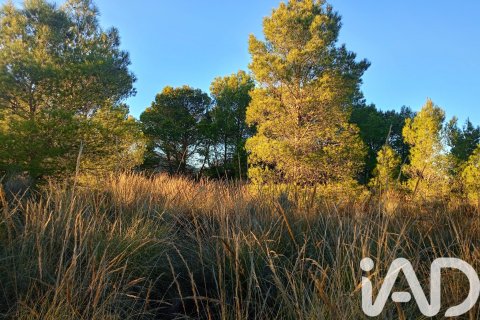 Land plot for sale in Lorca, Murcia, Spain 170000 sq.m. No. 185386 - photo 24
