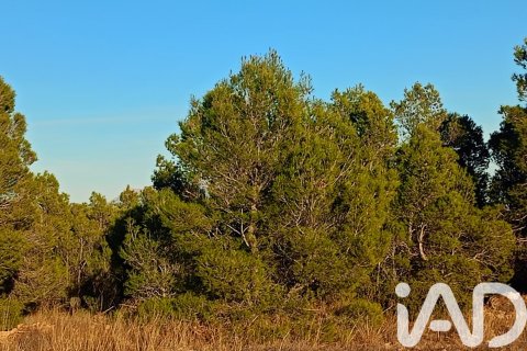 Land plot for sale in Lorca, Murcia, Spain 170000 sq.m. No. 185386 - photo 17