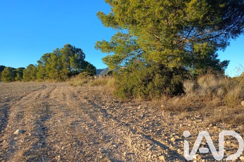 Land plot for sale in Lorca, Murcia, Spain 170000 sq.m. No. 185386 - photo 6