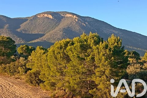 Land plot for sale in Lorca, Murcia, Spain 170000 sq.m. No. 185386 - photo 16