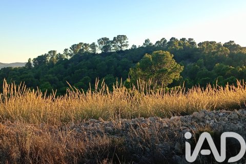 Land plot for sale in Lorca, Murcia, Spain 170000 sq.m. No. 185386 - photo 9