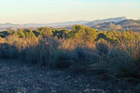 Land plot for sale in Lorca, Murcia, Spain 170000 sq.m. No. 185386 - photo 2
