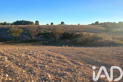 Land plot for sale in Lorca, Murcia, Spain 170000 sq.m. No. 185386 - photo 14